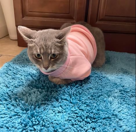 2Pc Pet Sweaters For Hairless Cats & Small Dogs - Cotton Pullover Shirts With Sleeves (Red & Pink, Large)