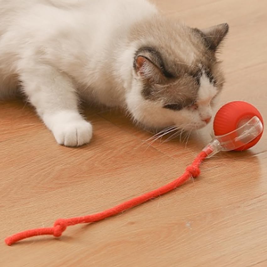 Cat Toy Ball With Tail Rope, Smart Rolling Ball, Led Light, Electric S Petocart Cat Toy Ball With Tail Rope, Smart Rolling Ball, Led Light, Electric S Petocart