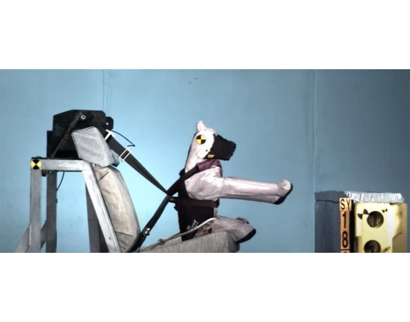 Clickit Sport Plus - Crash-Tested And Safety Certified Car Seat Belt Harness For Dogs (Extra Large, Orange Dream)