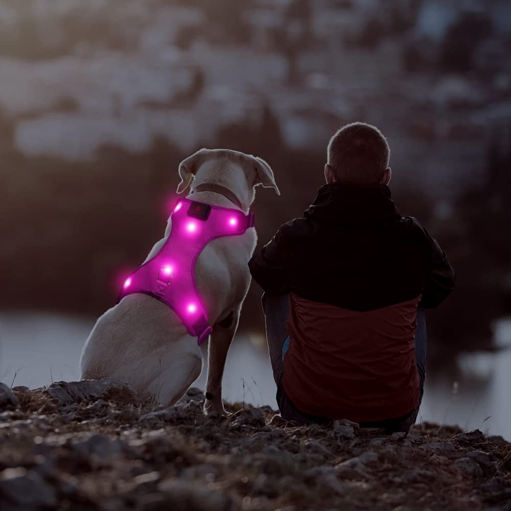 DOMIGLOW Light Up Dog Harness, No-Pull Rechargeable LED Harness, Glowing Dog Vest Safety Lights for Night Walking & Camping (Hot