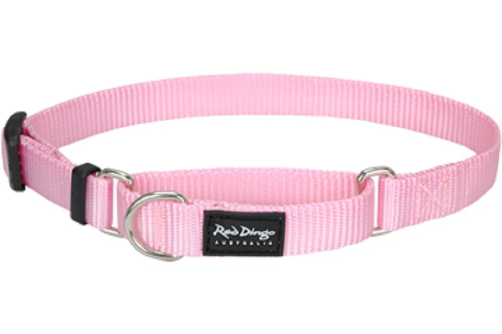 Red Dingo Reflective Martingale Dog Collar, Medium, Pink