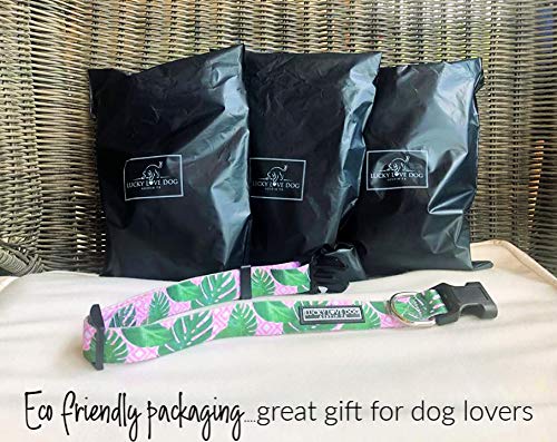 Lucky Love Dog, Tropical Dog Collar For Female Male Dogs, Comfortable & Soft, Vivid Pink Dog Collar - (Small, Laguna Collar)
