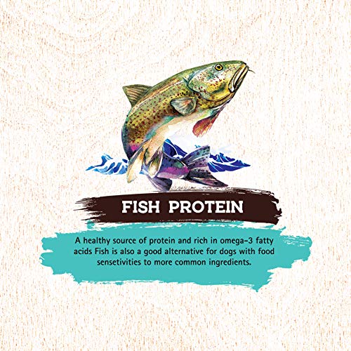 Inception Dry Dog Food Fish Recipe - Complete and Balanced Dog Food - Meat First Legume Free Dry Dog Food - 27 lb. Bag