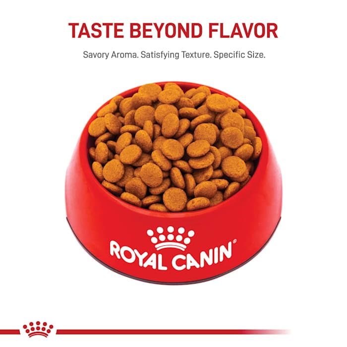 Royal Canin Medium Digestive Care Dry Dog Food, 30 lb bag