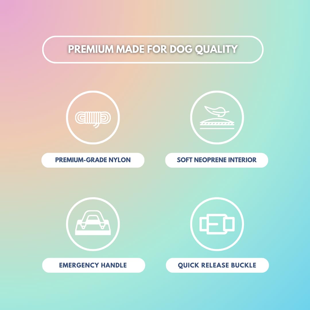 Spark Paws Tactical Dog Collar With Handle - Premium Quality Collar, Robust And Durable Design For Large, Strong Breeds - Pitbul