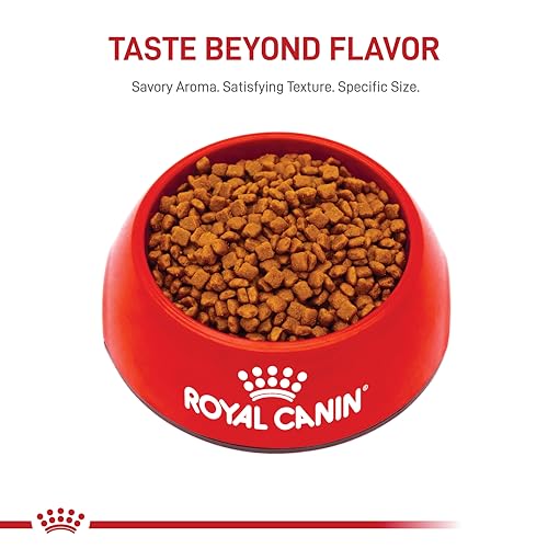 Royal Canin Feline Health Nutrition Mother & Babycat Dry Cat Food for Newborn Kittens and Pregnant or Nursing Cats, 6 lb bag