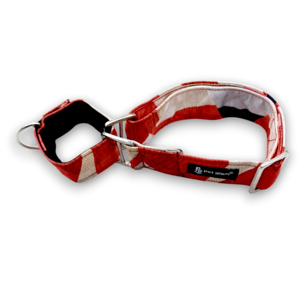 Pet Glam Martingale Collar For DogsSpirit XLarge