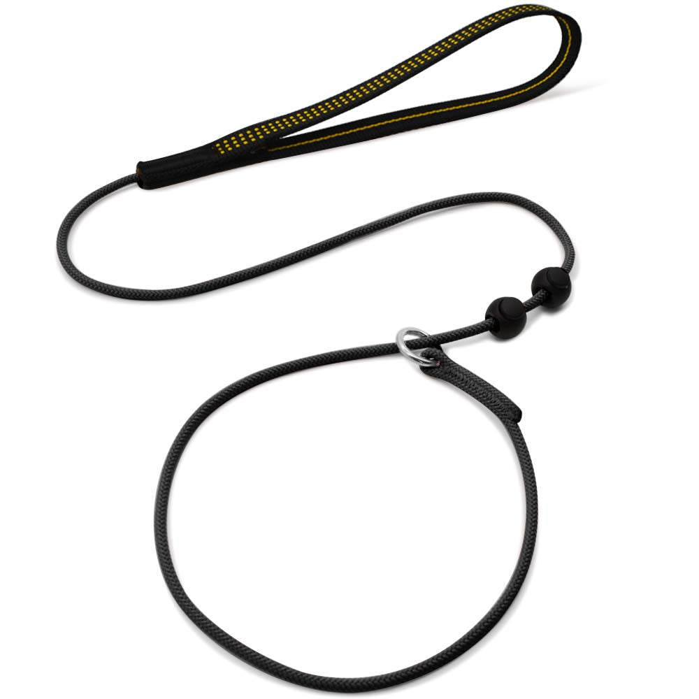 Beaugo Slip Leads For Dogs,Thin Slip Lead,Dog Training Leash,Thin Slip Leads For Dogs,Gentle Leader For Dogs For Small,Medium Or Large Dogs,Strong Dog Leash (Black, 1.8M Long)