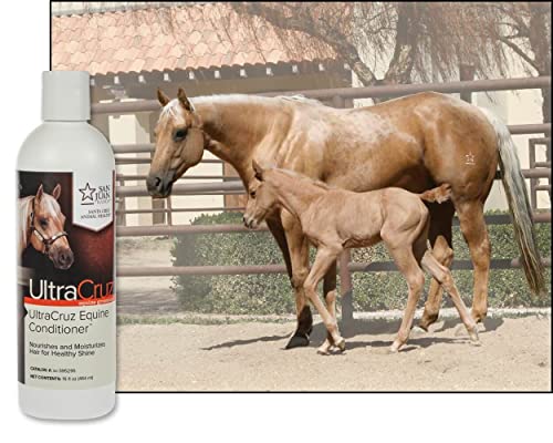 Ultracruz-Sc-395295 Equine Conditioner For Horses, 16 Oz,White