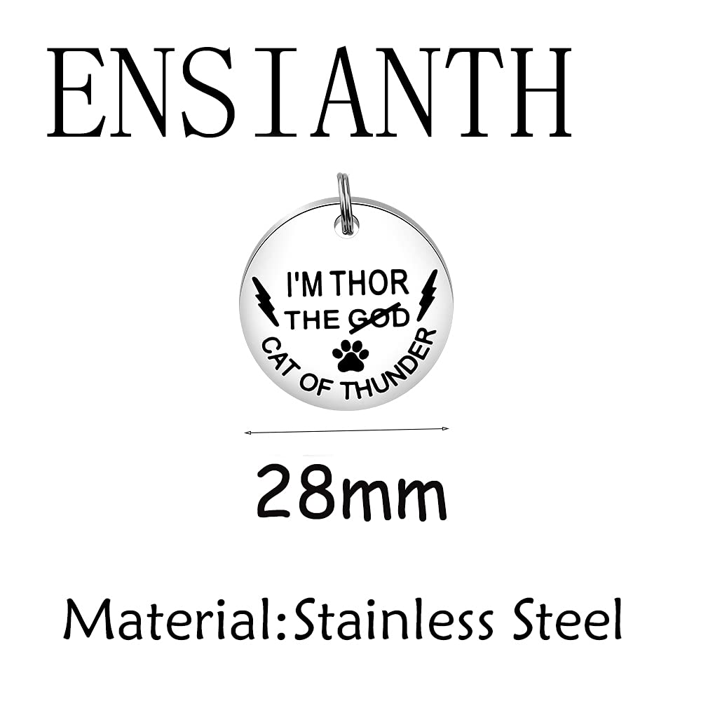 Ensianth Pet Id Tags Cat Collar Tags Cat Of Thunder Cat Owner Gift Cat Lover Gift Tag For Pet Cats Kitten Kitty (Cat Of Thunder)