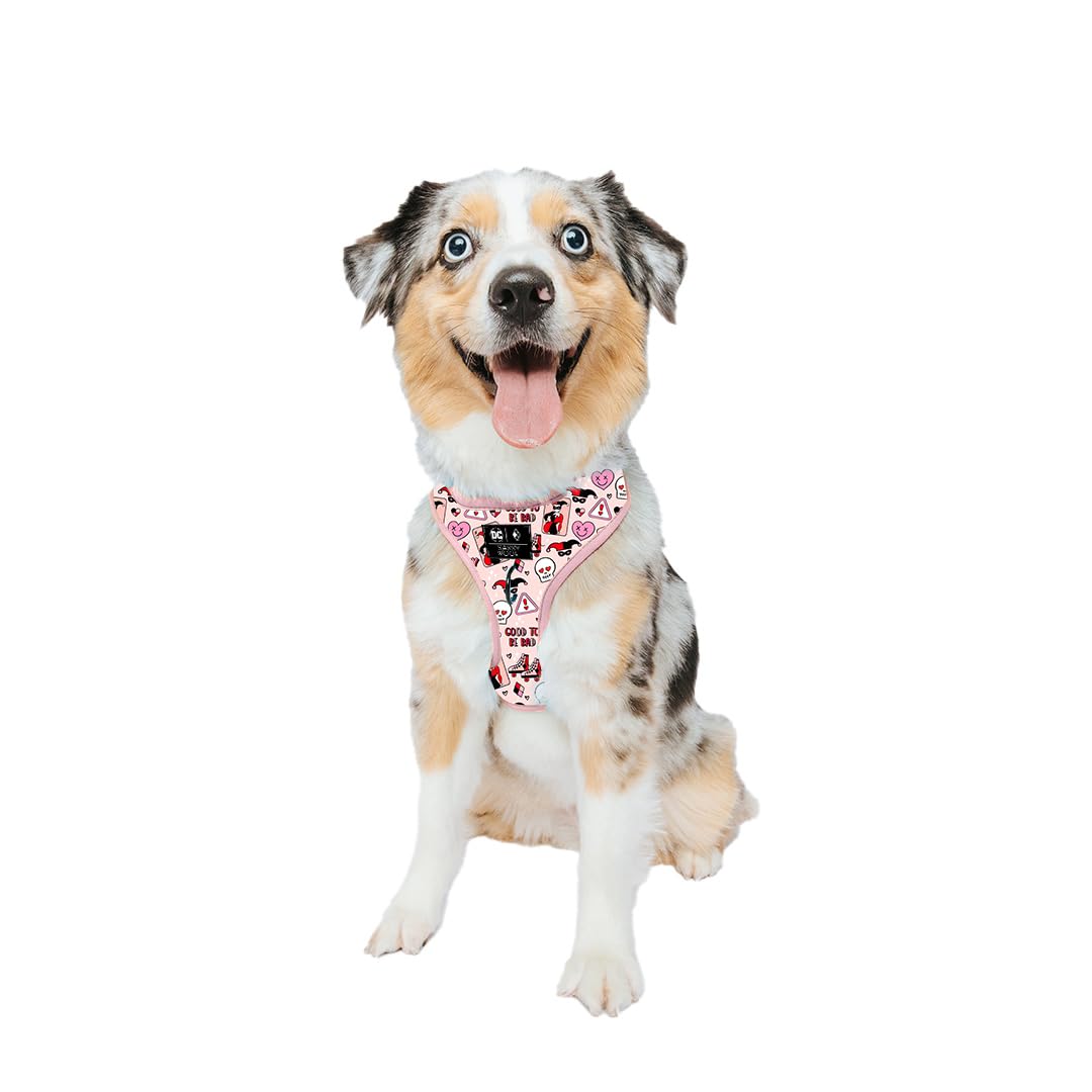 Sassy Woof Dog Adjustable Harness - Harley Quinn - M, Breathable Mesh, No Pull Design With Two D-Rings, Patented Design, Perfect