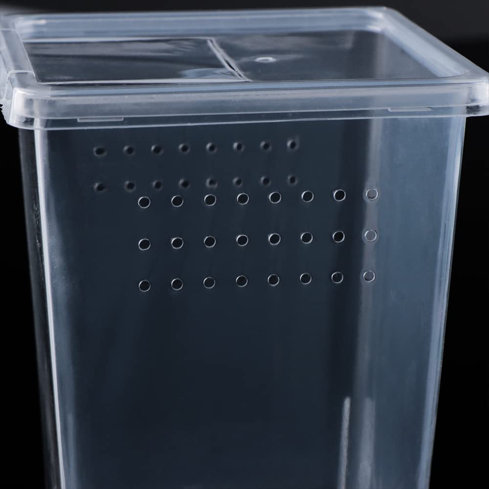 DQITJ 4 Pcs Acrylic Insect Breeding Box - Terrarium for Spiders, Scorpions, Mantis, Centipedes
