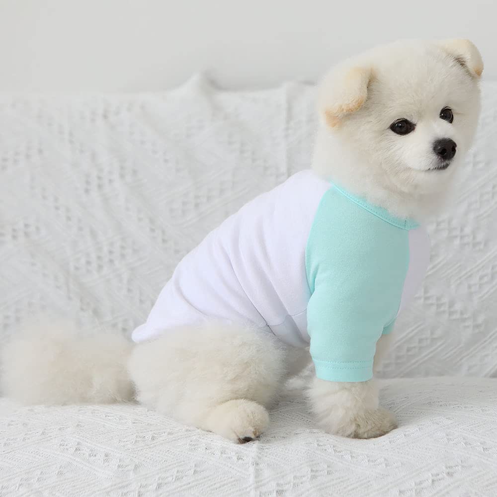 Lucky Petter Dog Cotton Shirts For Small And Large Dogs Raglan T-Shirts Soft Breathable Dog Shirt Pet Clothes (Small, White/Mint)