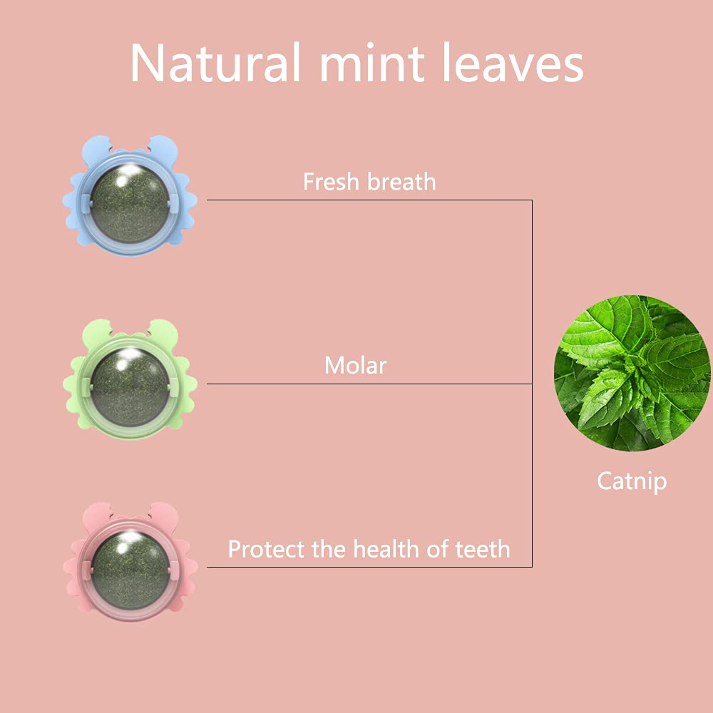 Kayina Catnip Wall Ball, 3-Piece Cat Toys, Edible Cat Licking Toy, Cat Chew Toy, Teeth Cleaning Cat Bite Toy, Rotatable Indoor C