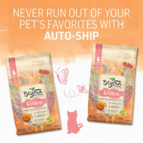 Purina Beyond High Protein, Natural Kitten Food, Kitten Chicken & Oatmeal Recipe - 5 lb. Bag