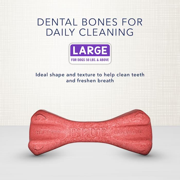 Blue Buffalo Dental Bones Large Natural Dental Chew Dog Treats, (50 lbs and up) 36-oz Bag Jumbo Pack