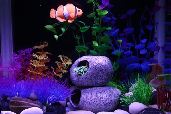 Aquazoo Premium Aquarium Decorations Rock Caves, Fish Tank Decorations, Fish Tank Rocks For Betta Cichlid Hiding Breeding Spawning, Professional Fish Hideout Decor For Territorial Fish (2 Pieces Set)