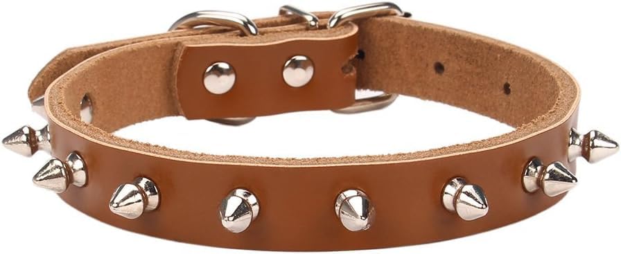 Dog Trust Spiked Dog Collar, Dog Collar With Spikes Small Spike Collar For Dogs Cats Spiked Collar Studded Adjustable Puppy Coll