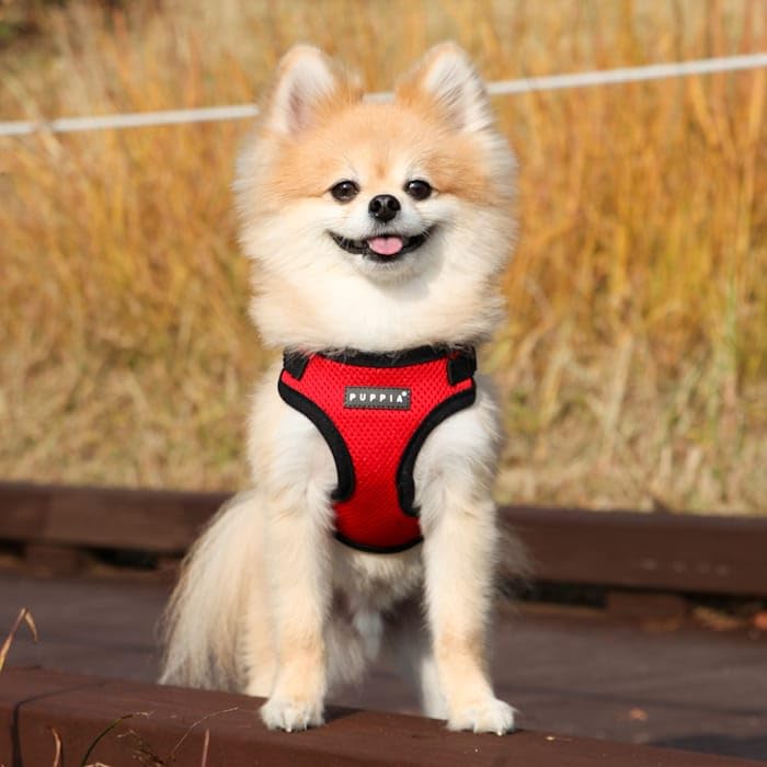 Puppia Red Soft Harness for Dogs, Large Pet Vest, Comfortable and Durable, Perfect for Outdoor Adventures