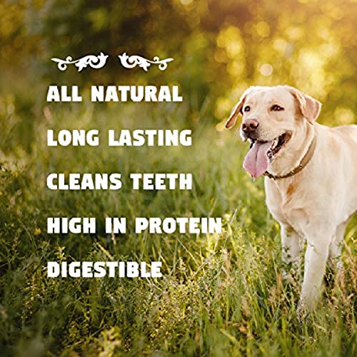Downtown Pet Supply Dog Bones - Cow Hooves for Dogs Made in USA - Dog Dental Treats & Rawhide Free Dog Chews - Bully Sticks Alte