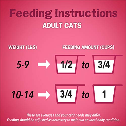 Purina Friskies Dry Cat Food, Gravy Swirlers - 6.3 lb. Bag