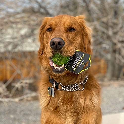 Hyper Pet DuraSqueak Dog Ball Toy - 2.5 Inch Green Floating Interactive Squeaky Toy for Fetching & Retrieving, Ideal Tennis Ball Alternative