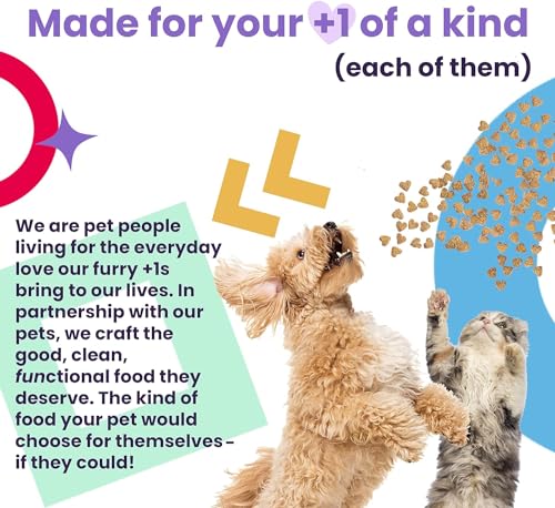 I and love and you Top That Boost Wet Dog Food Pouch, Duck Recipe In Gravy, 3 oz (Pack of 12)