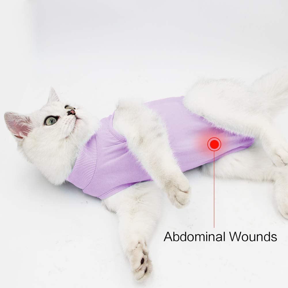 Ouuonno Cat Wound Surgery Recovery Suit For Abdominal Wounds Or Skin Diseases, After Surgery Wear, Pajama Suit, E-Collar Alternative For Cats (M, Purple)