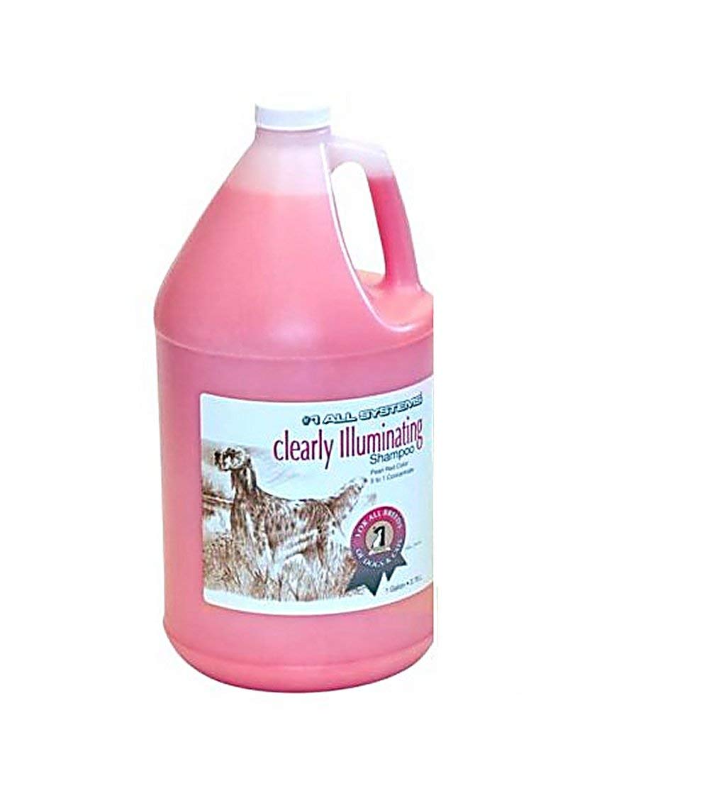 #1 All Systems Clearly Illuminating Shampoo Gallon