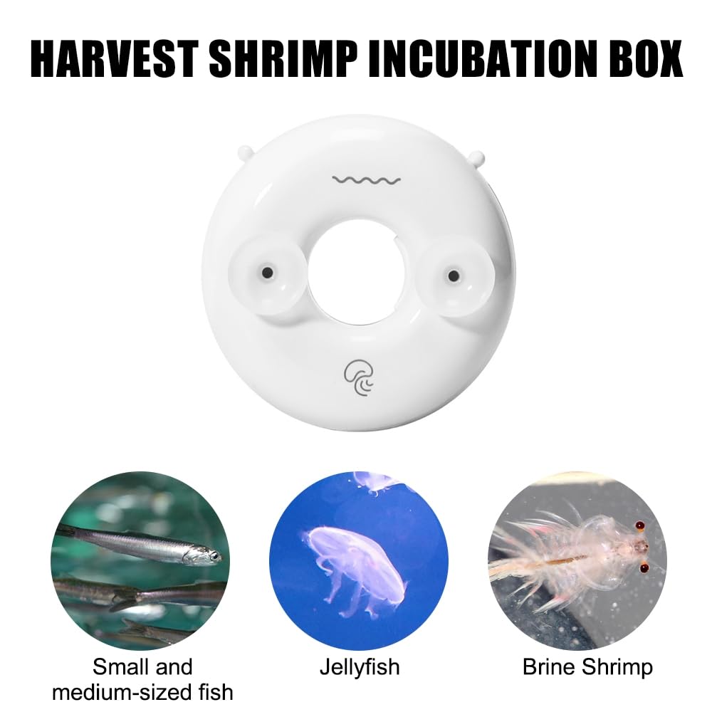 Brine Shrimp Hatchery Incubator,Pc Automatic Brine Shrimp Hatchery Dish For Seawater Saltwater Jellyfish Tanks (Not Applicable T