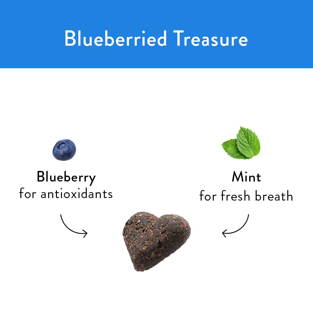 Shameless Pets Soft-Baked Dog Treats, Blueberried Treasure - Natural & Healthy Dog Chews with Mint for Immune Support - Baked &