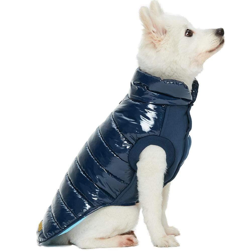 Blueberry Pet Cozy & Comfy Windproof Lightweight Quilted Fall Winter Glossy Dog Puffer Jacket In Navy Blue, Back Length 17', Size 16, Warm Coat For Large Dogs