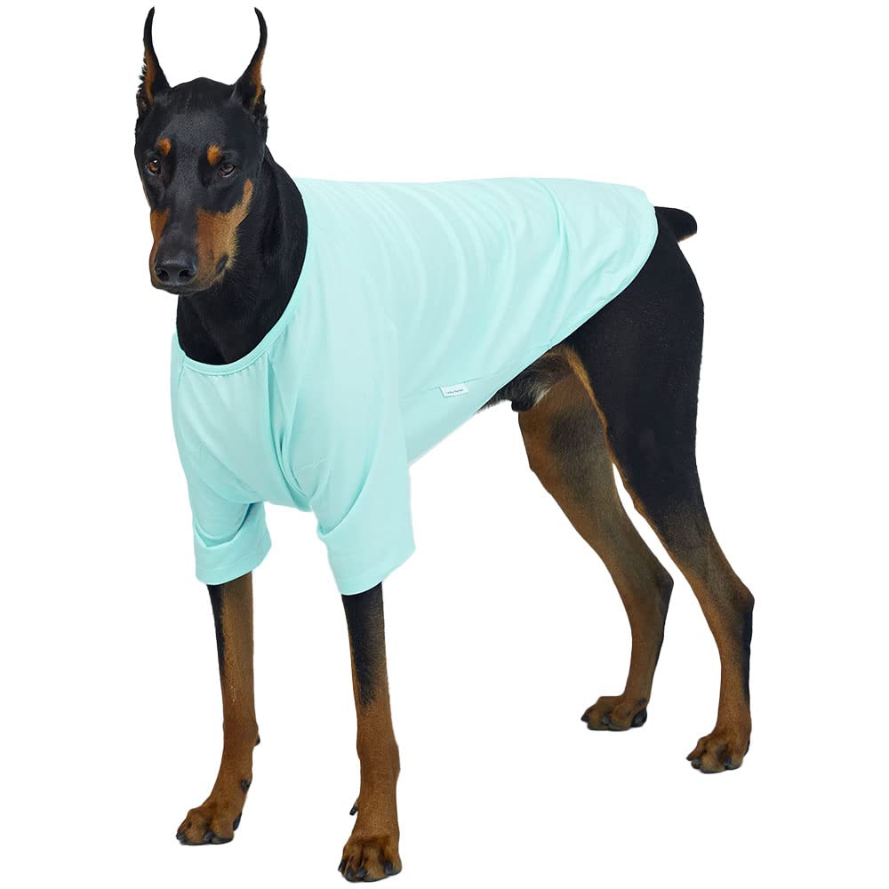 Lucky Petter Dog Shirt For Small Dogs Plain T-Shirts Soft Breathable Dog Cotton Shirt Pet Clothes (4X-Large, Mint)