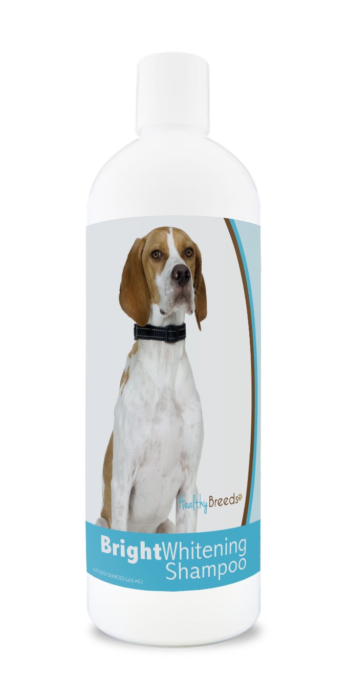 Healthy Breeds English Pointer Bright Whitening Shampoo 12 Oz