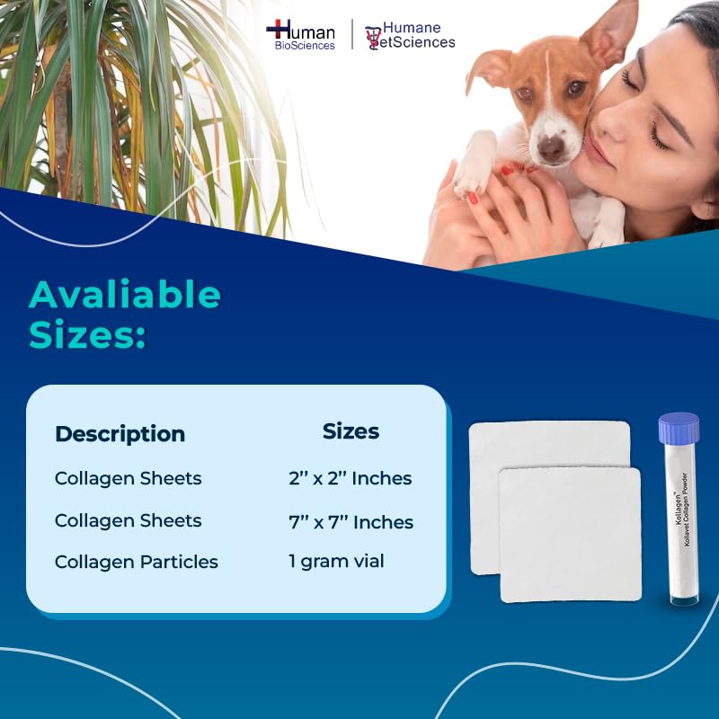 Kollavet Veterinarian-Recommended Animal Wound Care Dressing for Cats, Dogs, Horses, Reptiles, Pets, and Working Animals (1 Gram