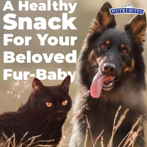 Generic Nutribites Freeze Dried Beef Liver Treats for Cats and Dogs 17.6 Ounce