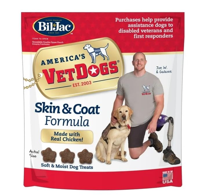 American VetDogs Veterans K-9 Corps Skin & Coat Formula, Soft & Moist Dog Treats, Chicken, 10 oz 1 Pack