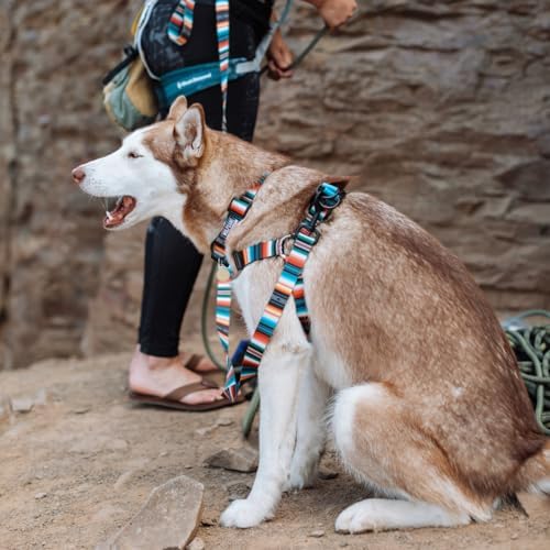 Wolfgang Heavy Duty Martingale Dog Collar With Quick Release Nylon Buckle For Walking & Training, Lostart Print, Medium