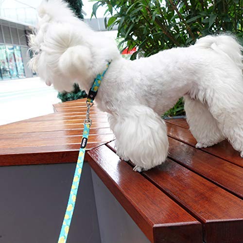 Azuza Dog Collar And Leash Set, Lemon Patterns On Blue Nylon Collar And Matching Leash, Great Option For Extra Small Dogs