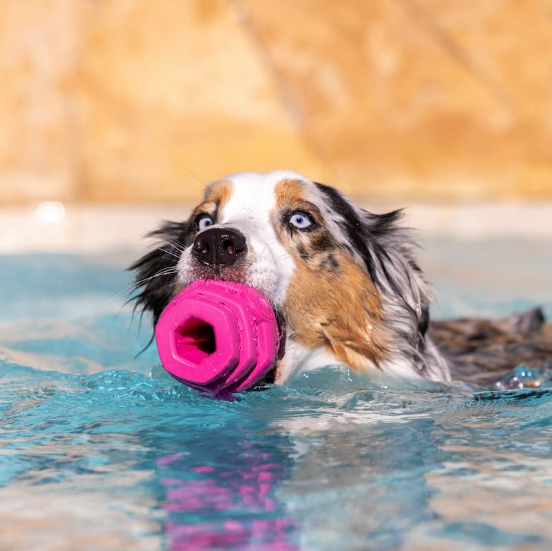 Project Hive ·Pet Company· - Wild Berry Scented - Hive Chew Toy For Large Dogs - Dog Chew Toy For Large Breeds - Floats In Water - Durable And Tough - Made In The Usa