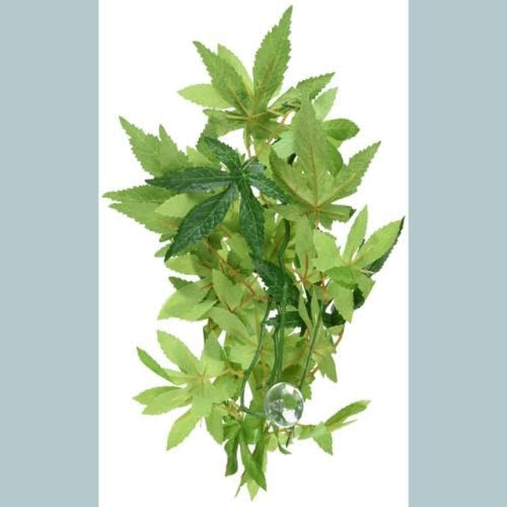 Exo Terra Silk Terrarium Plant, Small, Abutilon