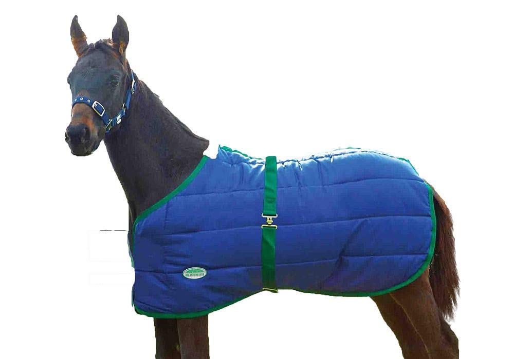 Weatherbeeta 420D Foal Standard Neck Medium Horse Blanket, Navy/Hunter, 28'-42'