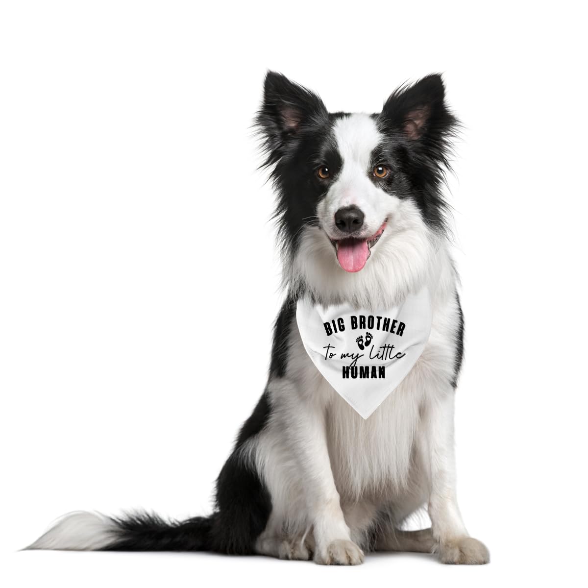 Big Brother To My Little Human Dog Bandana, Big Brother Bandana For Dog, Dogs Bandanas For Small Medium Dogs, Pet Scarf (D16)