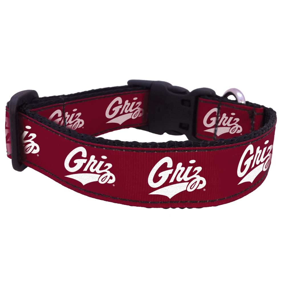 College Dog Collar (Medium, Montana)
