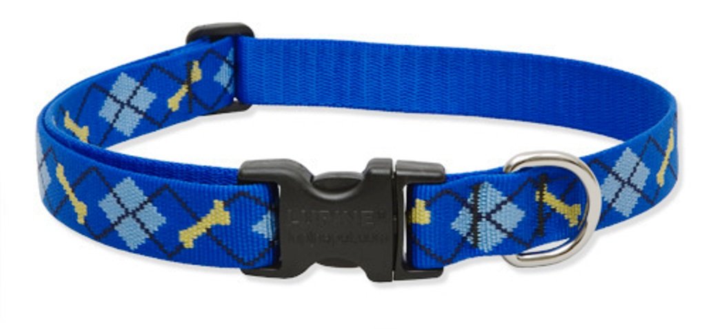 Lupinepet Originals 1' Dapper Dog 12-20' Adjustable Collar For Medium And Larger Dogs