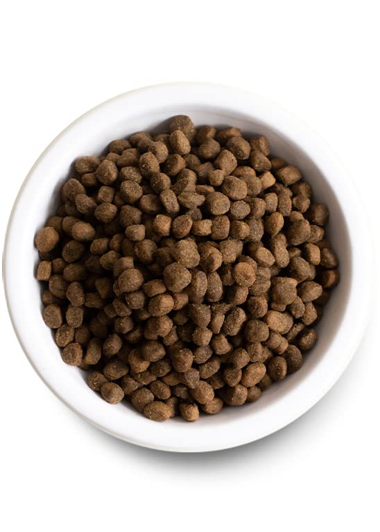 Open Farm, Ancient Grains Dry Dog Food, Protein-Rich & Nutrient Dense, 90% Animal Protein Mixed with Non-GMO Fruits, Veggies and