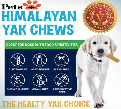 Pets Plus Himalayan Yak Chews for Dogs - 6 Inch, Medium Size, 8oz, 3-Pack - Long-Lasting Natural Dog Chews, Grain-Free, Odorless