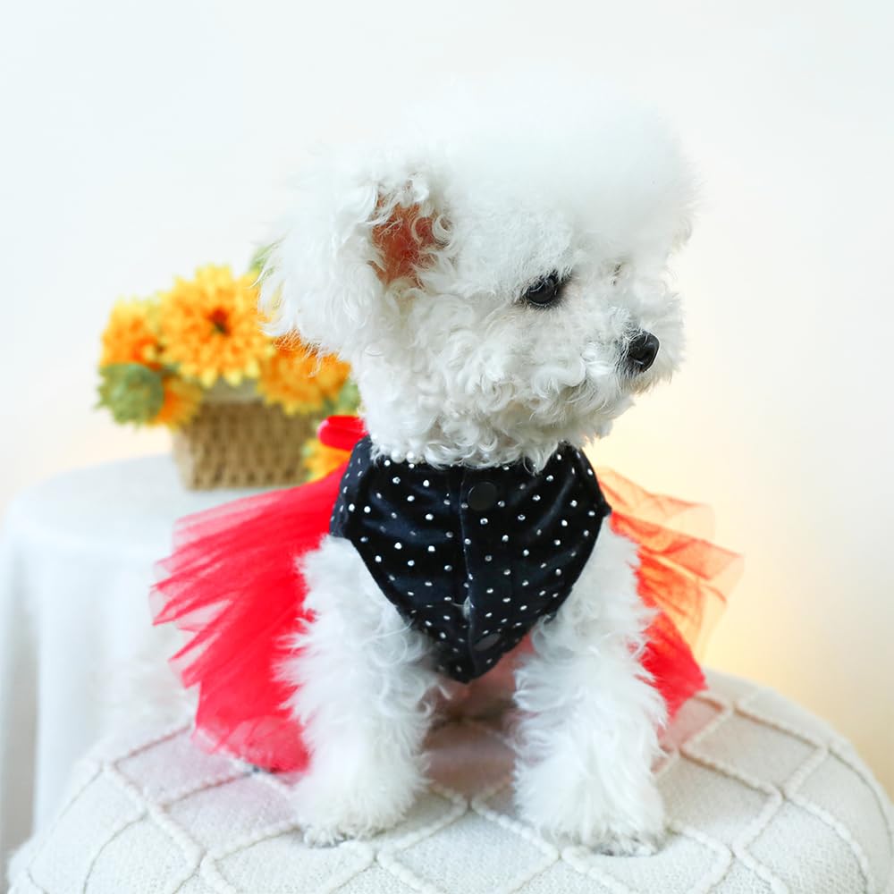 Anelekor Black Polka Dot Dog Dress With D-Ring, Puppy Wedding Attire For Small Dog Girl,Cat Birthday Outfit, Red Tutu Party Dres