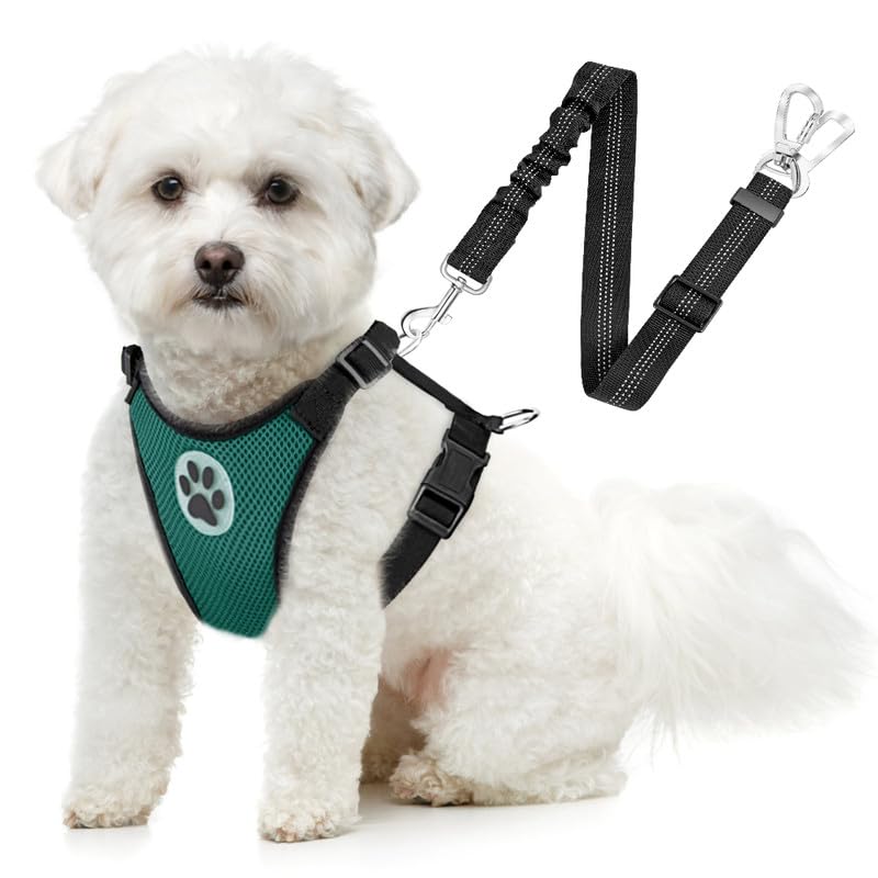 Slowton Dog Seat Belt Harness For Car, Dog Car Harness Adjustable Mesh Breathable & Dog Seatbelt Safety Tether With Elastic Bungee For Small Medium Large Pets(Green, Double Clip, Xxxs)