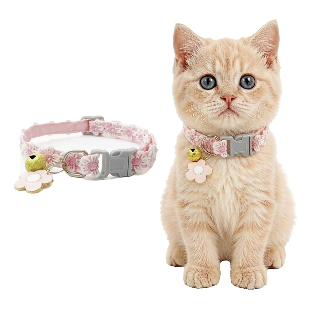 Cat Collar With Bell  Breakaway Collar With Cute Embroidered Pink Daisies, Sakura Charm Pendant, Adjustable Quick Release For K
